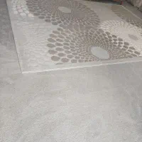 پالازموکت