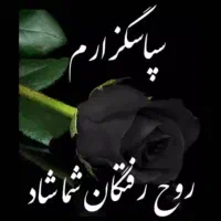 فال و طالع تضمینی