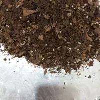 خاک برگ مرغوب