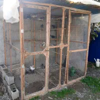 قفس چوبی کبوتر|لوازم جانبی حیوانات|کیاکلا, |دیوار