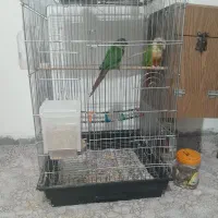 فروش فوری قفس بزرگ