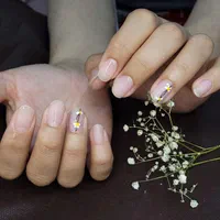 ناخنکار حرفه‌ای در بوشهر . کاشت، ژلیش، طراحی خاص|خدمات آرایشگری و زیبایی|بوشهر, |دیوار