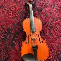 ویولن به همراه هاردکیس