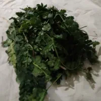 ۸۰۰۰۰۰۰|خوردنی و آشامیدنی|قره کهریز, |دیوار