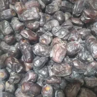 خرما|خوردنی و آشامیدنی|زاهدان, |دیوار