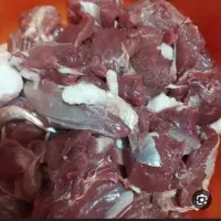 گوشت کله گاو مغز زبان