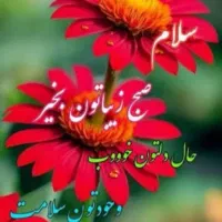 فاز-یک-پادا-دخیابان-معلم