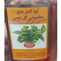کود مایع پتوس ، رشد عالی