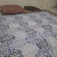 همخونه خانم فقط