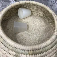 برنج سرلاشه فوق معطر هاشمی|خوردنی و آشامیدنی|تهران, علم و صنعت|دیوار