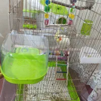 قفس پرنده و لانه با تجهیزات کامل