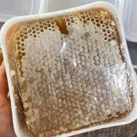 عسل طبیعی طارم از تولید به مصرف کلی و جزئی