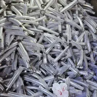 به چند نفر کار گر ساده آقا وخانم نیاز مندیم