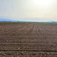 زمین-کشاورزی-رزمغان
