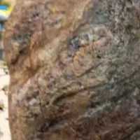 سنگی بزرگ هفت رنگ|کلکسیون اشیاء عتیقه|کرج, کمال‌شهر|دیوار