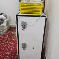 دستگاه جوجه کشی