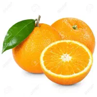 استخدام دستیار فلیوریست و ارزیاب حسی اسانس ها