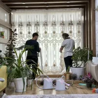 نصب پرده با لوازم|خدمات پیشه و مهارت|بهبهان, |دیوار