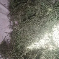 قرمه سبزی خشک