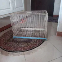 قفس پرنده