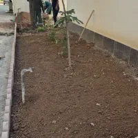 احداث فضای سبز وکلیه خدمات باغبانی '۳۰سال سابقه