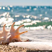 گشت جزیره قشم با سواری|تور و چارتر|درگهان, |دیوار