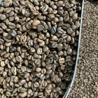 پخش عمده دان قهوه|عمده‌فروشی|سبزوار, طبرسی (جعفرآباد)|دیوار