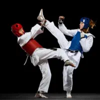 آموزش حرفه ای و تخصصی تکواندو