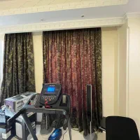 تردمیل پروتئوس