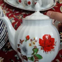 ظروف گل قرمز|ظروف سرو و پذیرایی|اراک, |دیوار