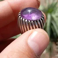 آماتیس برزیلی خوش رنگ|بدلیجات|سبزوار, امیر کبیر|دیوار