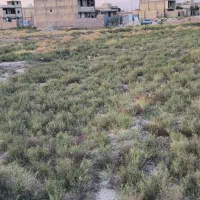 زمین