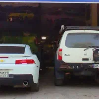 جلوبندی سازی خودروهای ایرانی و خارجی