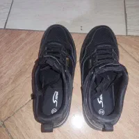 کفش|کیف، کفش، کمربند|شیراز, فرهنگیان|دیوار