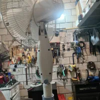 پنکه پایه بلند درحد نو|پنکه و تصفیهکنندهٔ هوا|مراغه, |دیوار