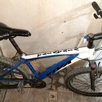 دوچرخه ویوا|دوچرخه، اسکیت، اسکوتر|تبریز, |دیوار