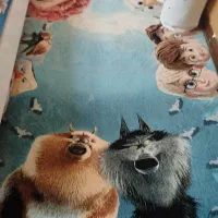 قالیچه اتاق کودک 4متری درحدنو