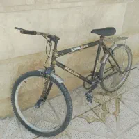 دوچرخه بزرگسال