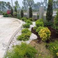 خدمات باغبانی گلکاری تعویض خاک گلدون باغبان
