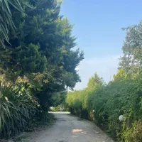 زمین قابل ساخت با شرایط جنگلی