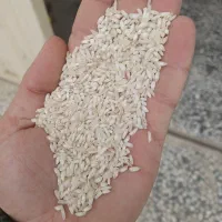 برنج قلوه یا هاشمی اقتصادی