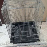 قفس ۱۰۳۳ ریز بافت کارکرده