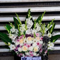 تاج گل|گل و گیاه طبیعی|گلپایگان, |دیوار