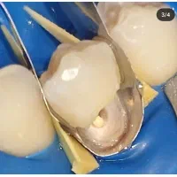 جشنواره خدمات دندانپزشکی|خدمات آرایشگری و زیبایی|تربت‌حیدریه, مسجد جامع|دیوار