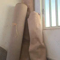 موکت کارکرده درحدنومدتی زیرفرش بوده|موکت|شیراز, شهرک فرهنگیان|دیوار