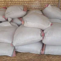 فروش کاه ماشک امسال|حیوانات مزرعه|لردگان, |دیوار