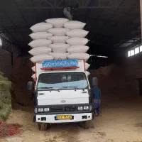 خرید و فروش کاه گندم کاه جو کاه عدس