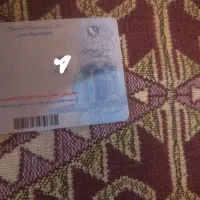 گمشده