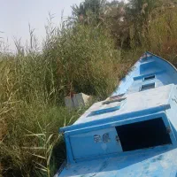 فروشی