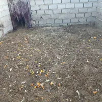 فروش یک ۱۰تن خاک گوسفندی